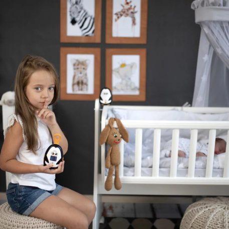 Lorelli Care&Calm Babyphone